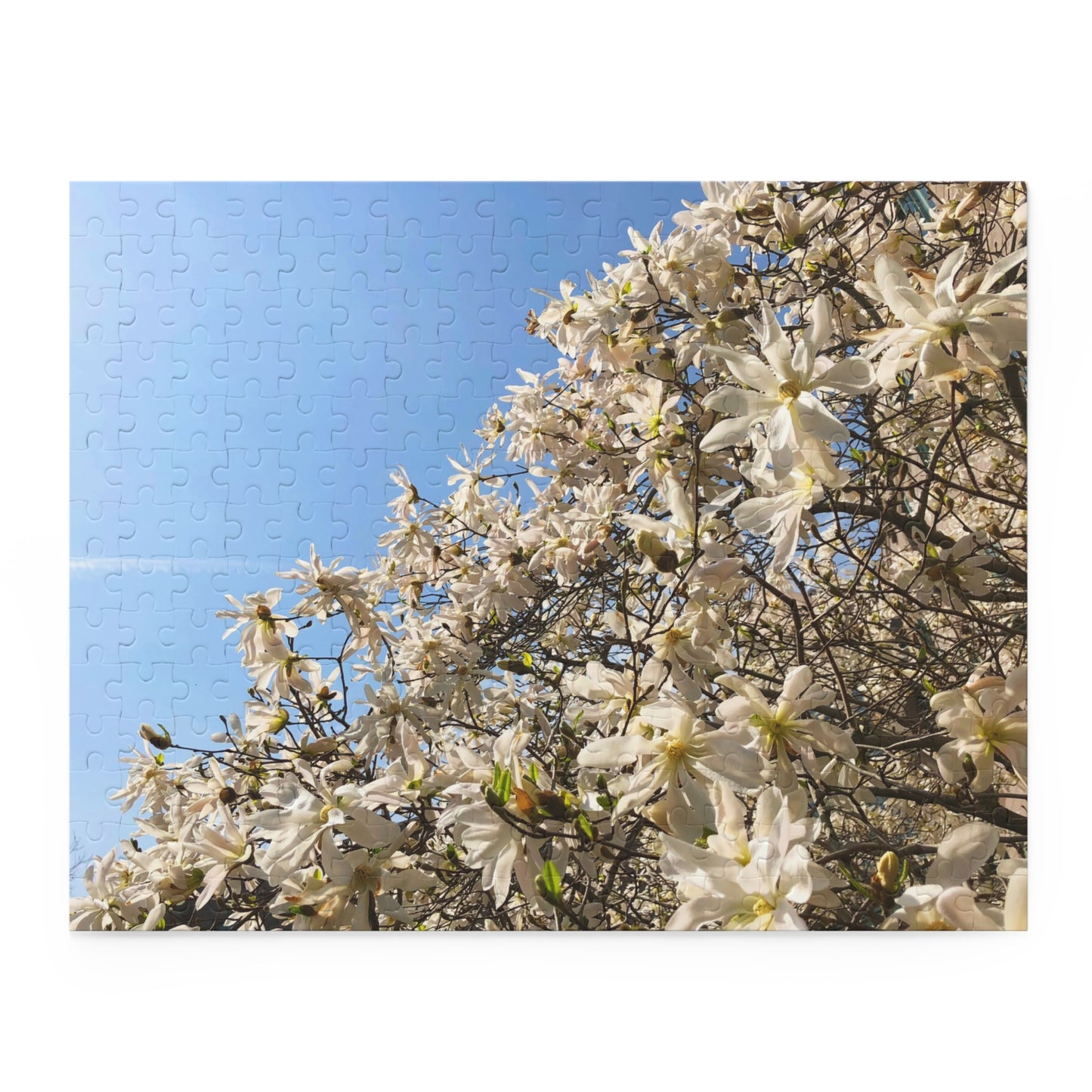 White Flower Puzzle (120, 252, 500-Piece)