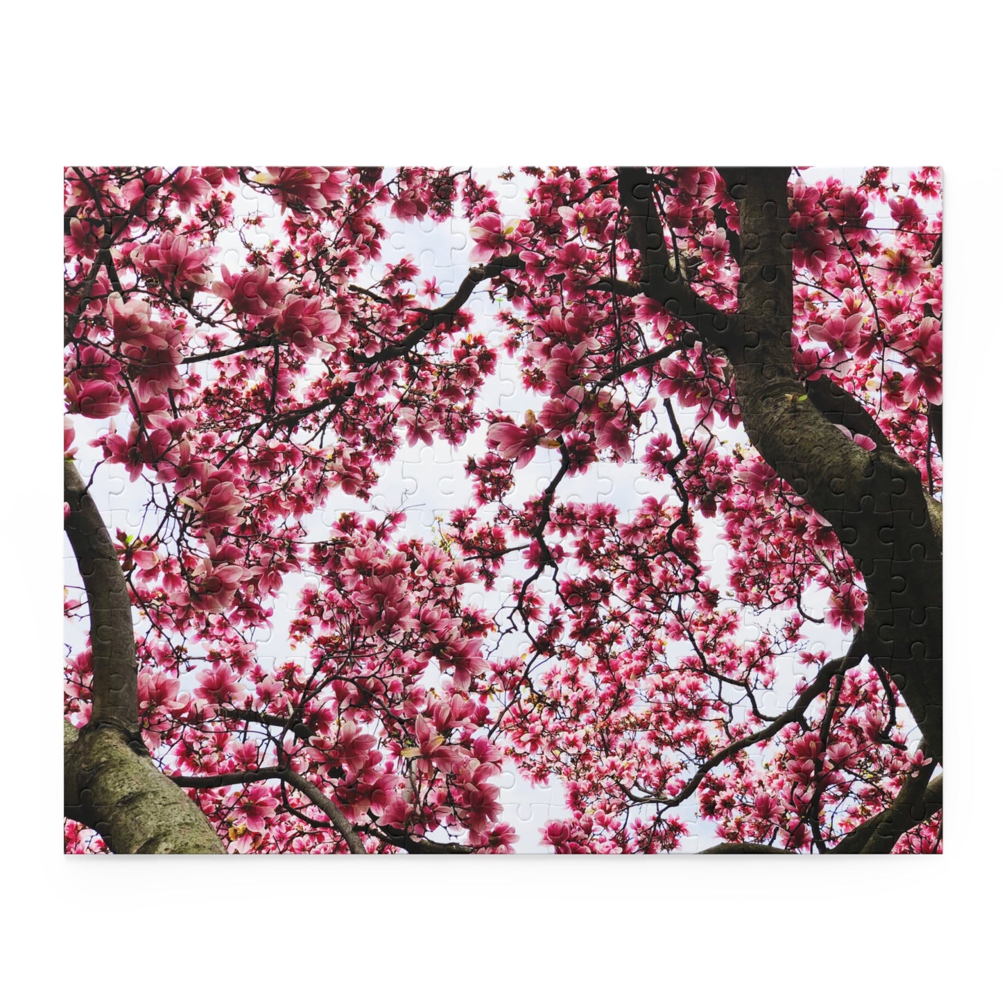 Pink Flower - Puzzle (120, 252, 500-Piece)